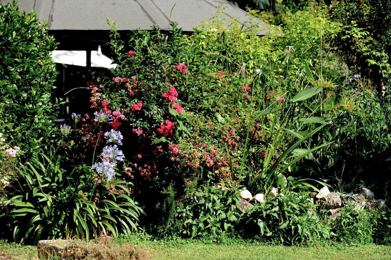 Country House Sezze ภายนอก รูปภาพ